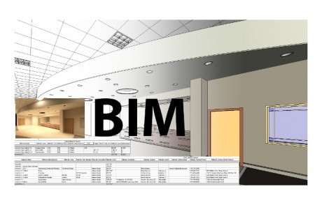 BIM