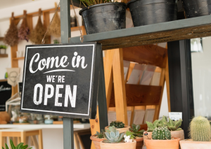 A small sign hanging from a shelf with cacti in small pots - the sign says "Come in, we're open" in white text on a black background to look like a chalk board.