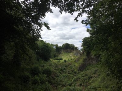 Green countryside with trees framing the image