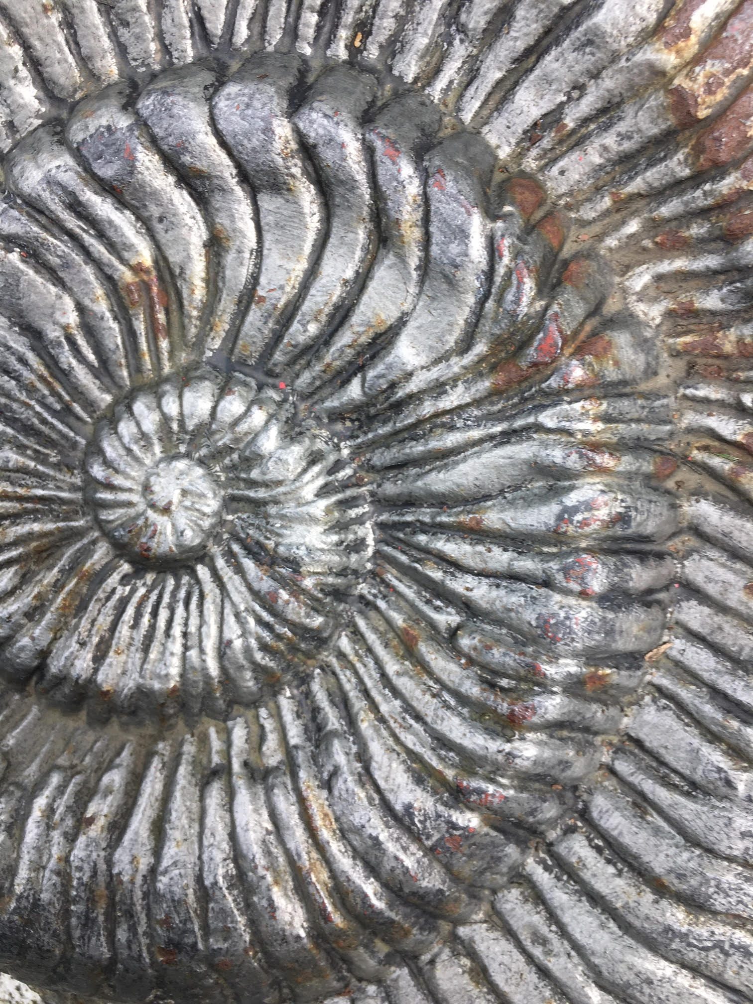 Swirly fossil sculpture from Wren's Nest, Dudley