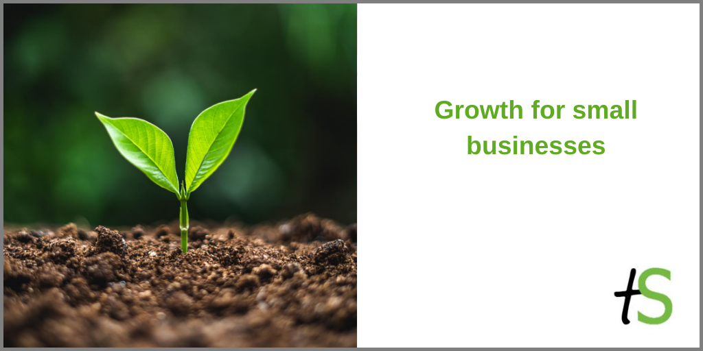 Growth for small businesses banner with green shoot in soil