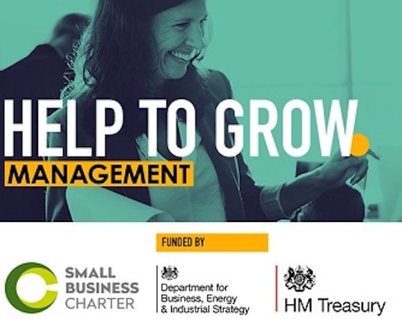 A green tinted image of a smiling woman with the text 'Help to Grow Management' with accompanying organiser logos
