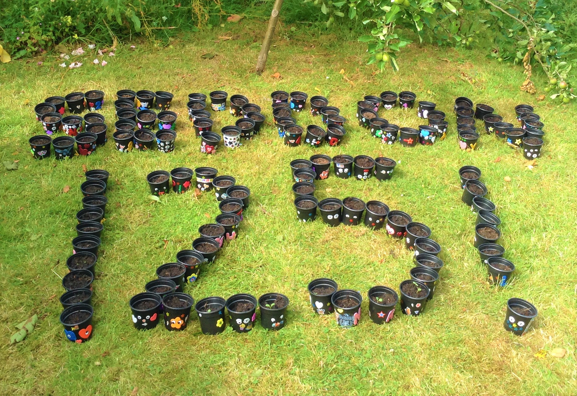 A display of plant pots spelling out "Seddon 125!" on the grass