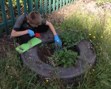 A child wearing blue gloves digging in a garden